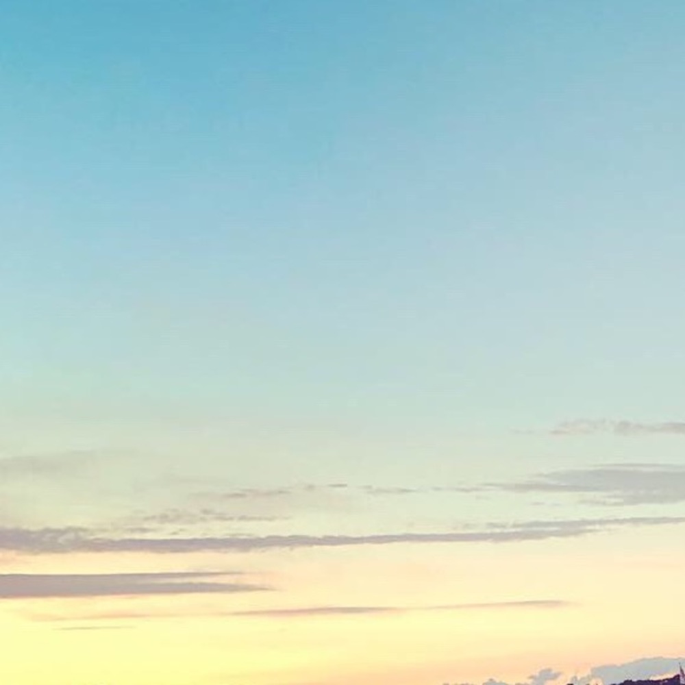 Meet your Posher, Maya